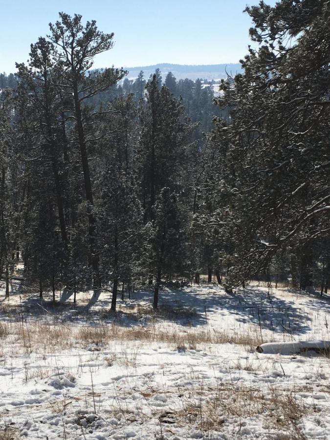Priceless Black Hills View Rapid City Exterior photo
