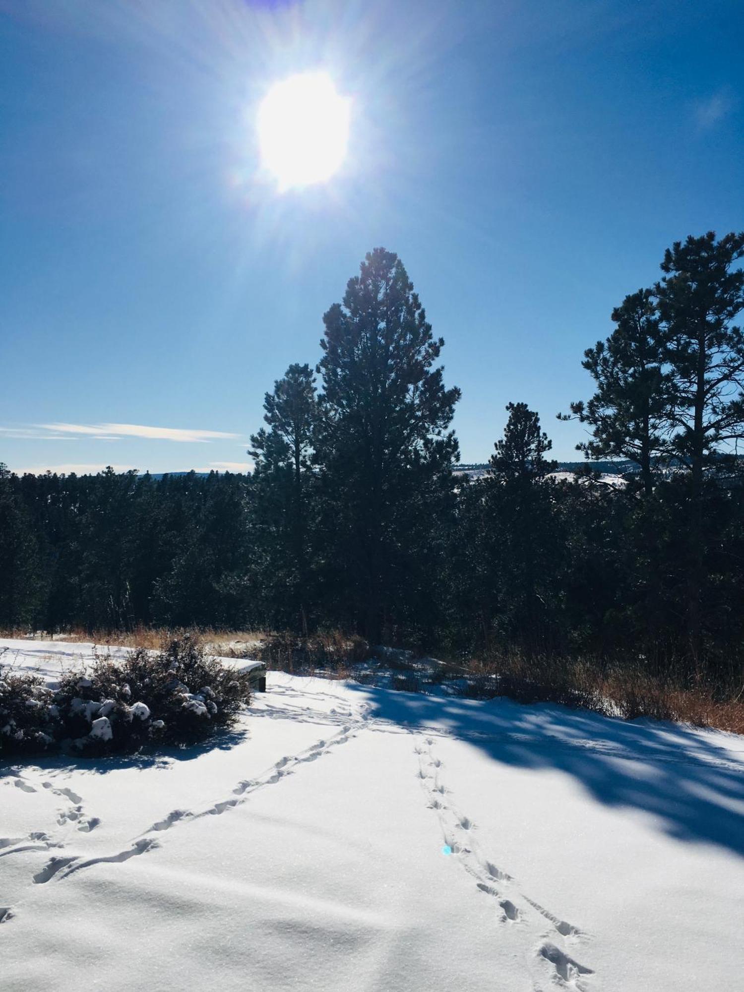 Priceless Black Hills View Rapid City Exterior photo